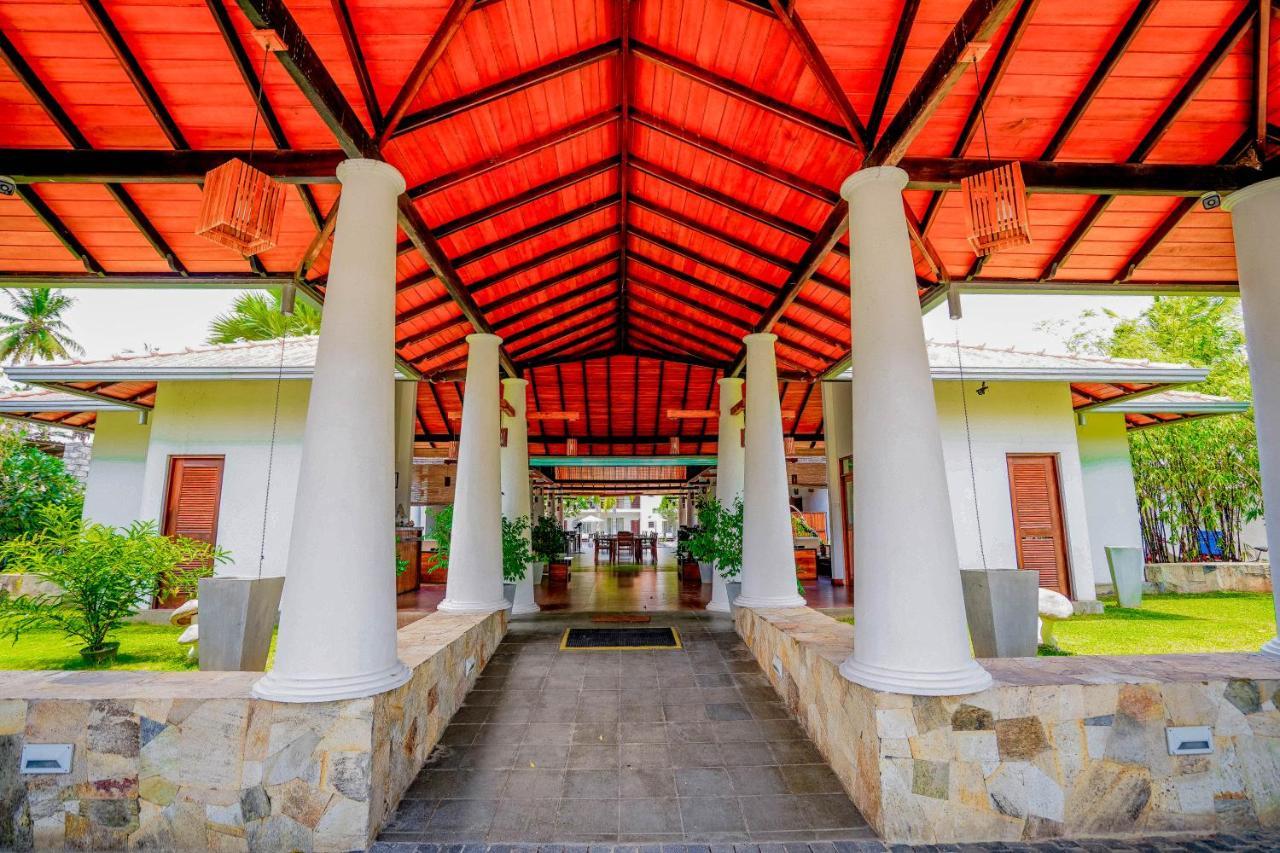טיסמהרמה Hotel Tamarind Tree מראה חיצוני תמונה