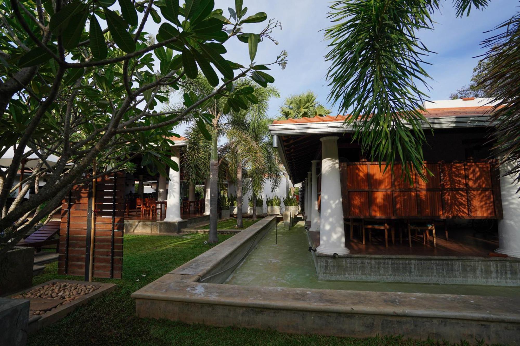 טיסמהרמה Hotel Tamarind Tree מראה חיצוני תמונה