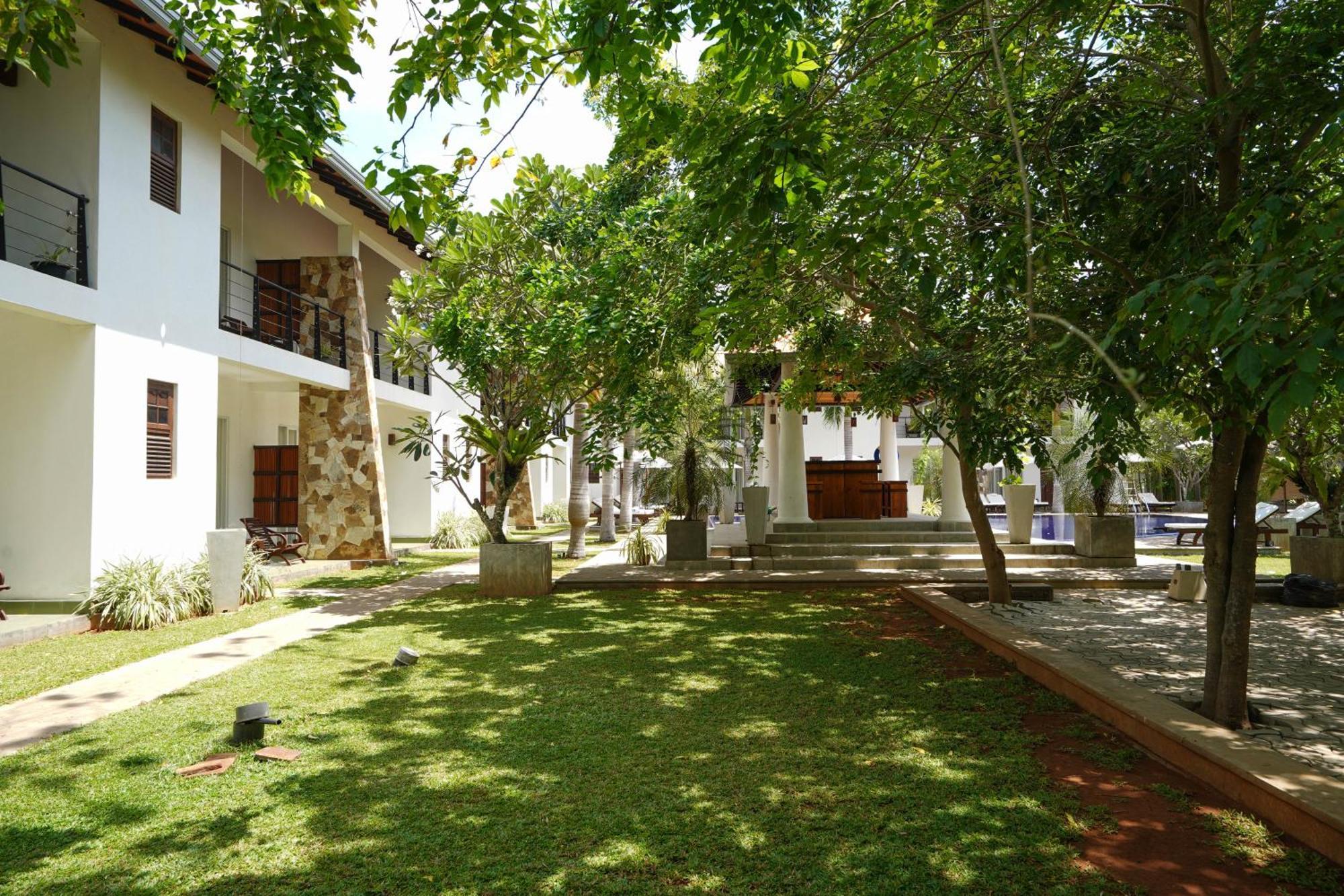 טיסמהרמה Hotel Tamarind Tree מראה חיצוני תמונה