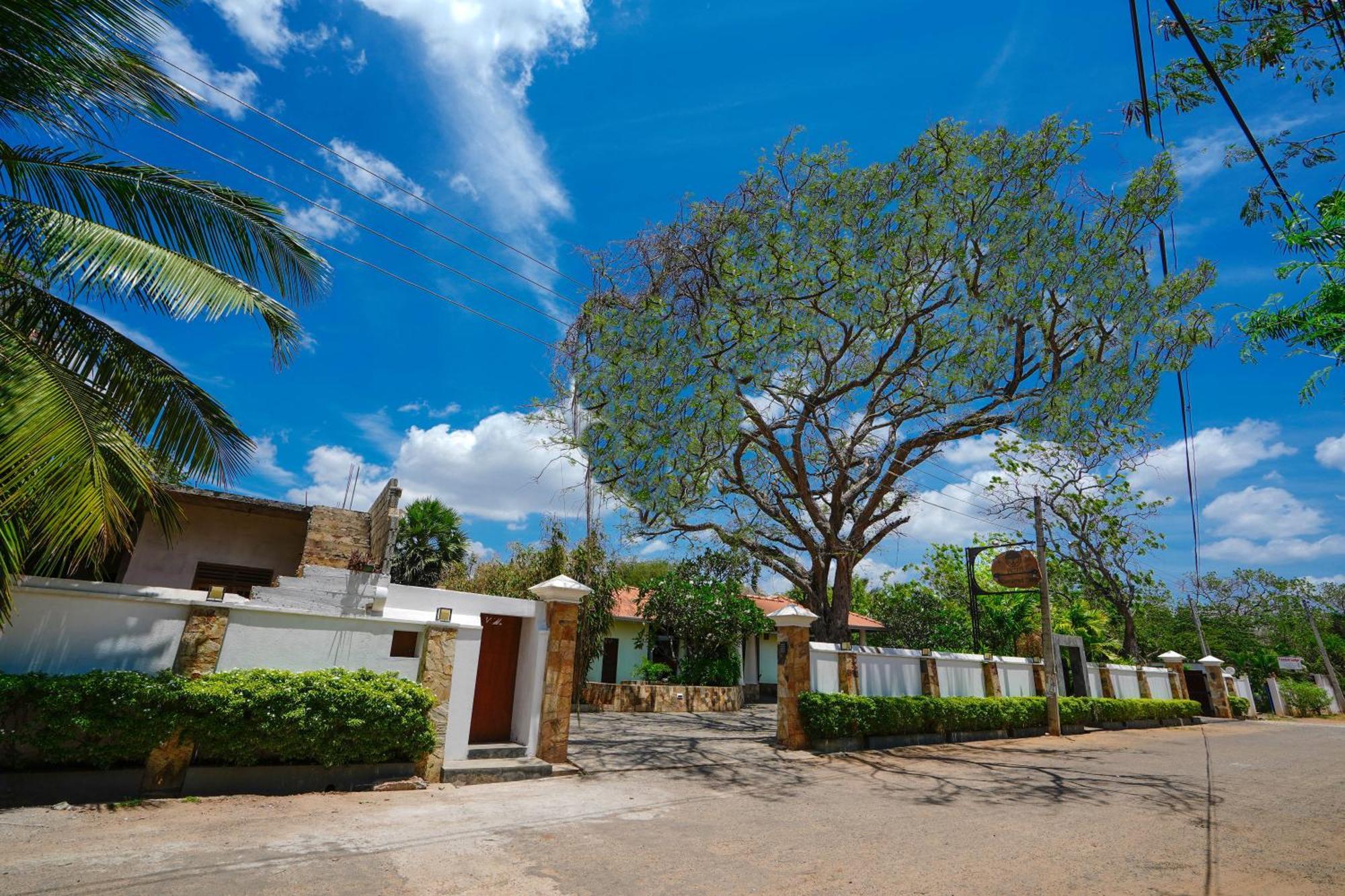 טיסמהרמה Hotel Tamarind Tree מראה חיצוני תמונה
